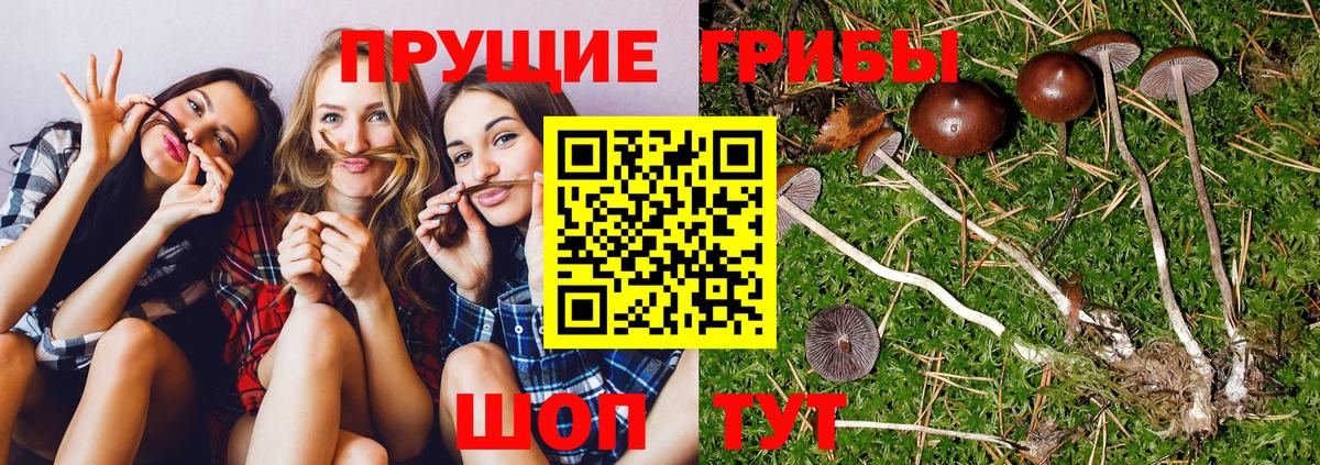 Галлюциногенные грибы ЛСД Вязьма