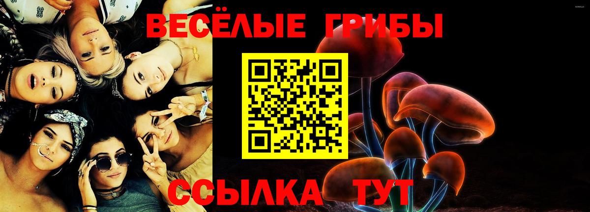 где купить   Псилоцибиновые грибы ЛСД  Вход с VPN  Вязьма 